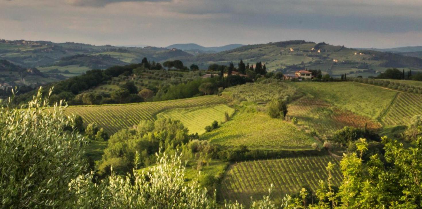 Chianti vineyards and rolling hills between Florence and Siena