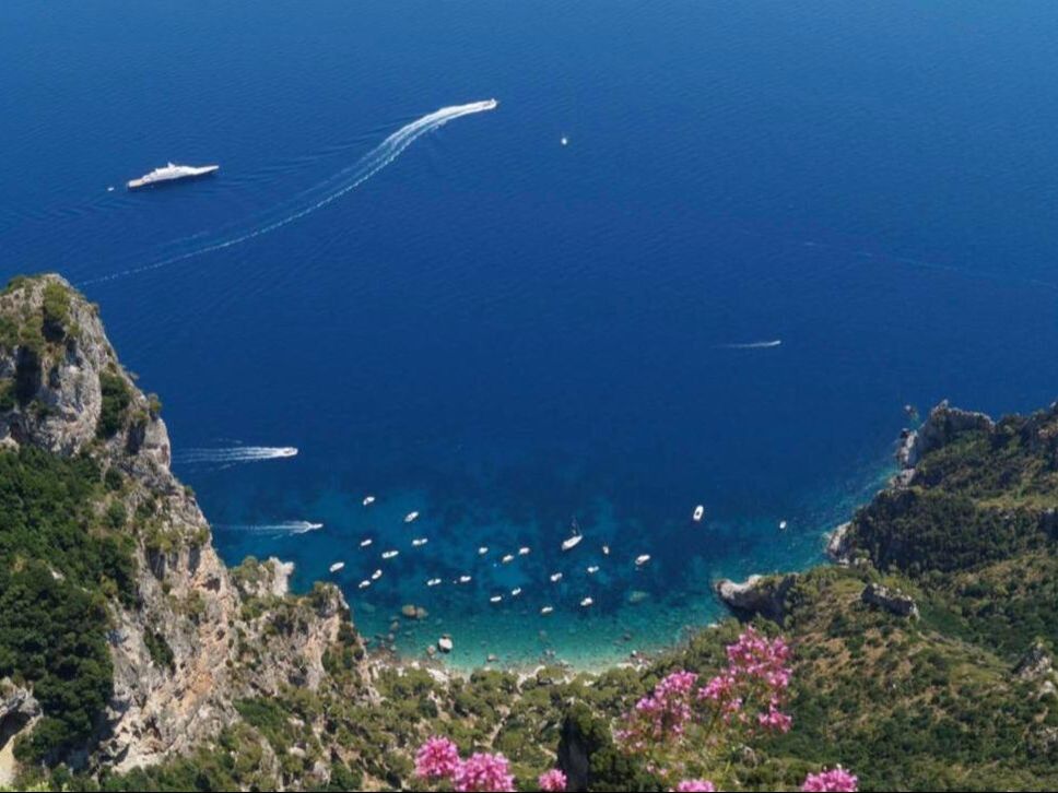 Bay on Capri seen from Monte Solaro with yachts and pink flowers