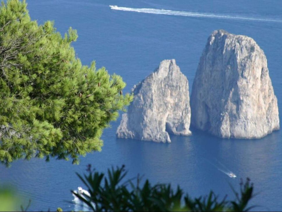 Faraglioni rocks of Capri seen through pine trees on a sunny day
