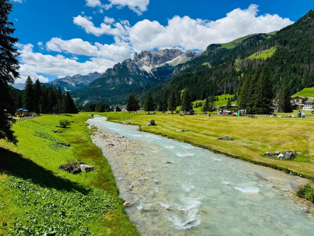 A mountain stream through a green valley in Val di Fassa, the Dolomites